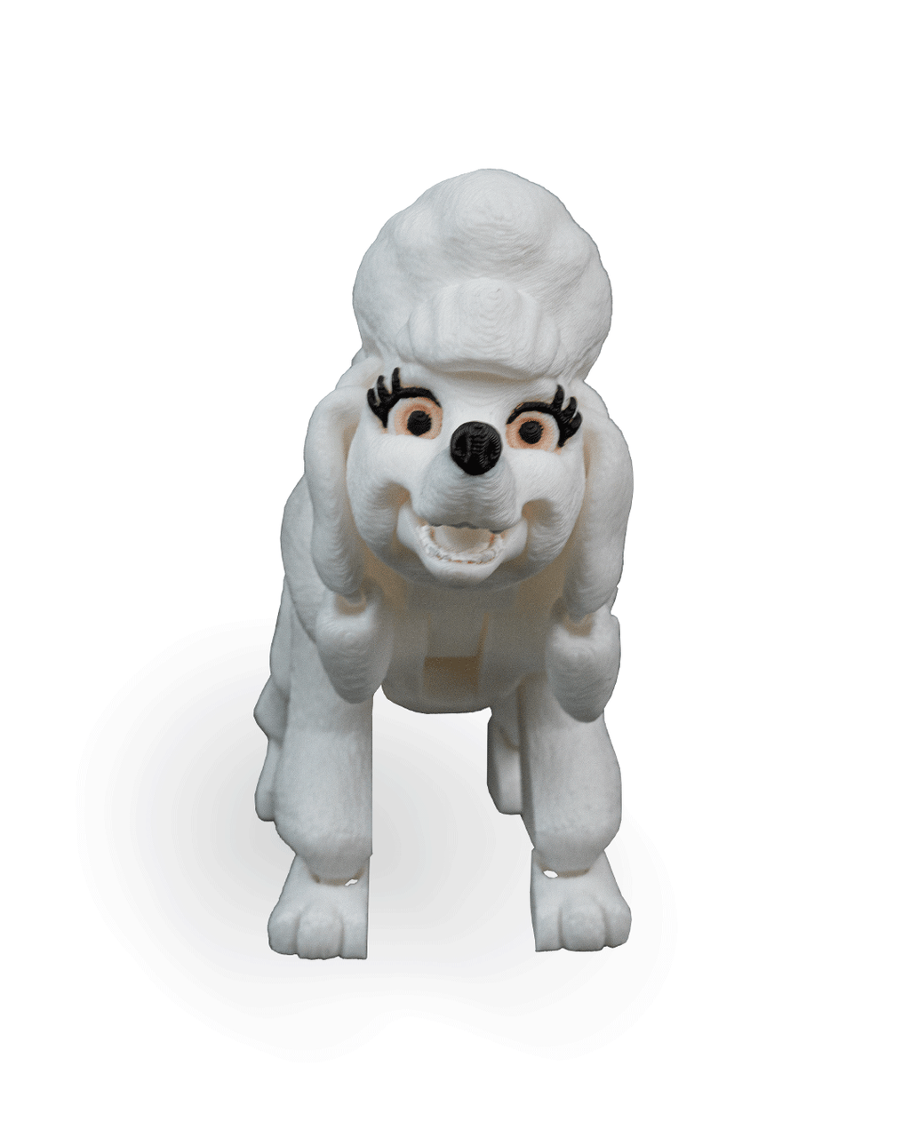 Lizzie the Poodle