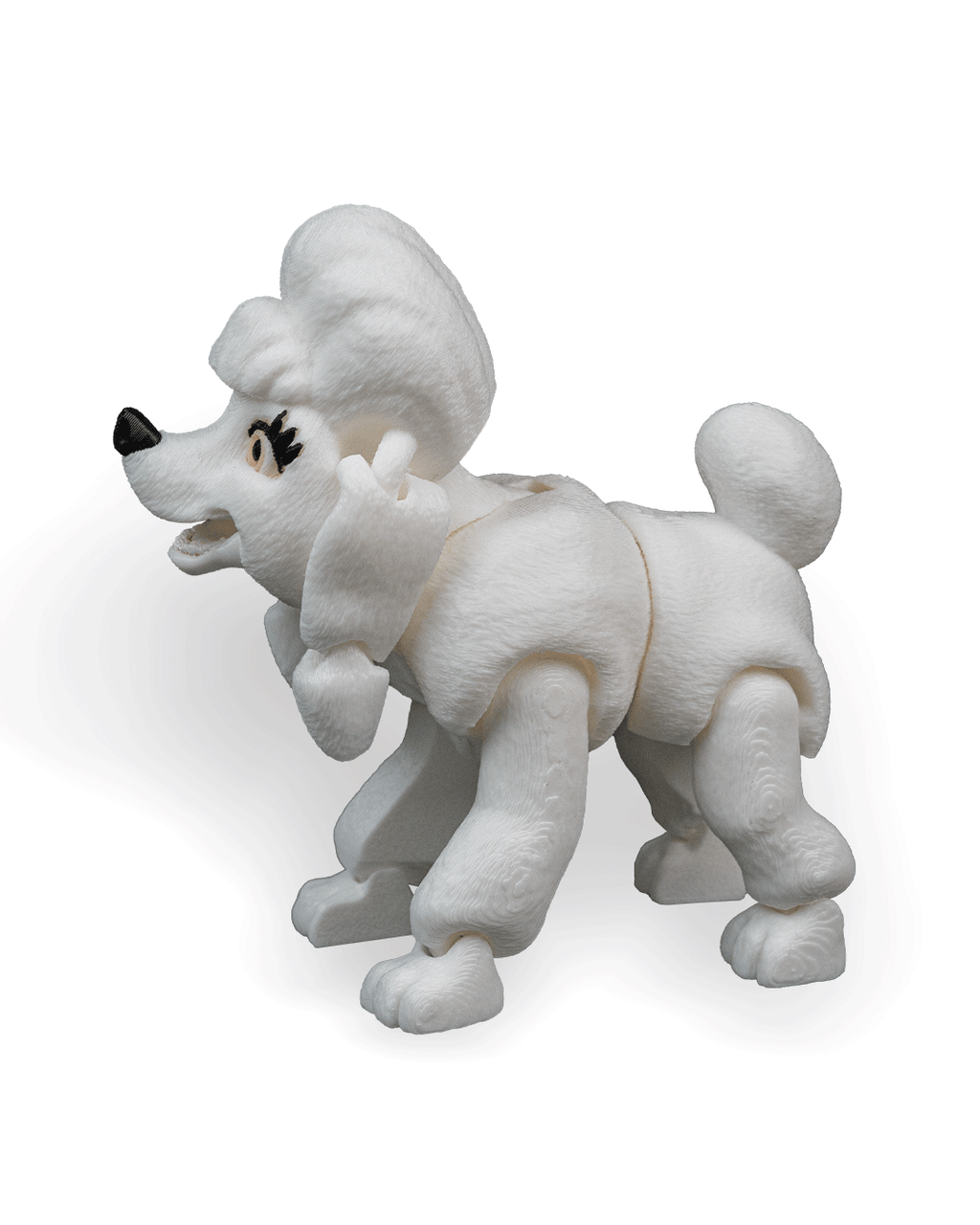 Lizzie the Poodle