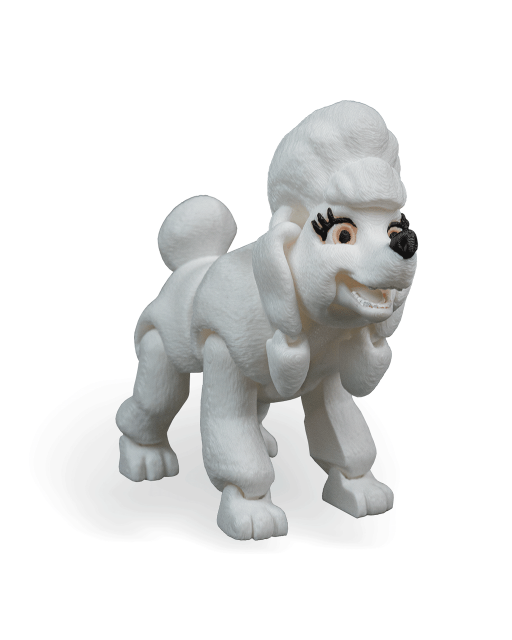 Lizzie the Poodle
