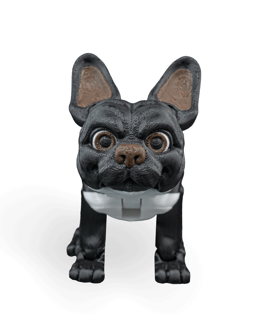 Stella the French Bulldog