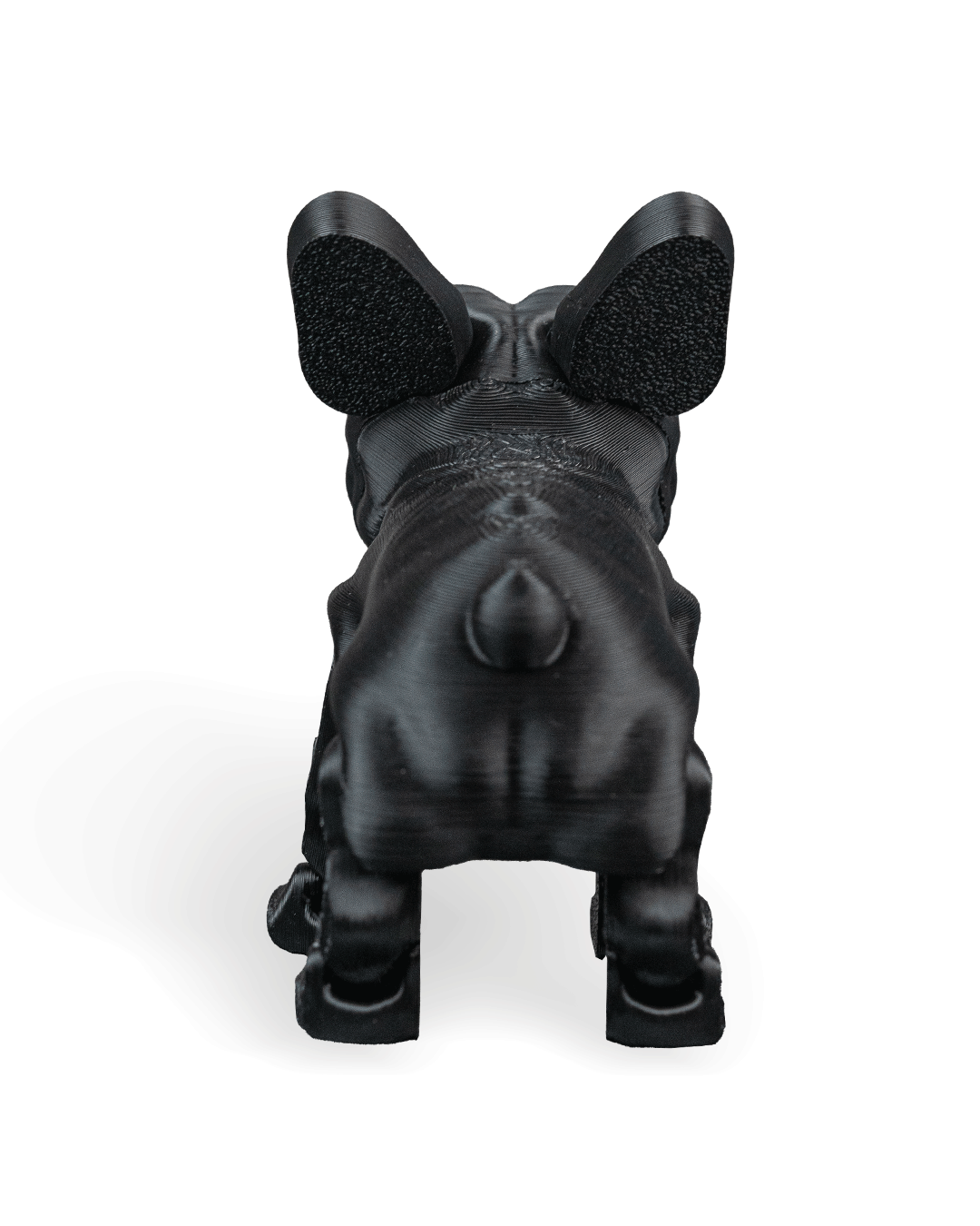 Stella the French Bulldog