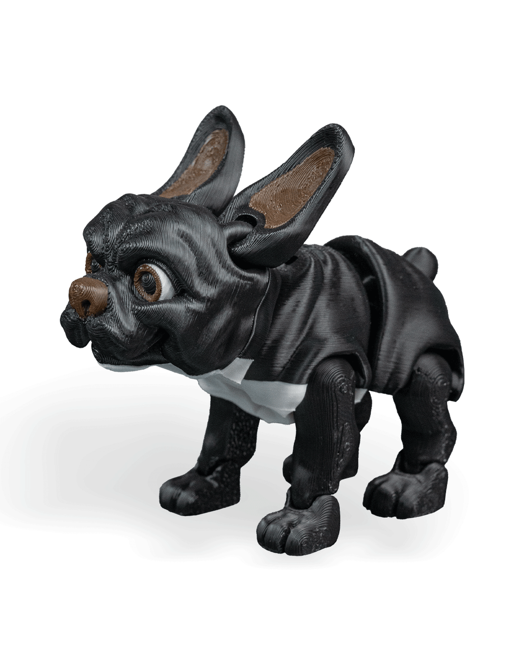 Stella the French Bulldog