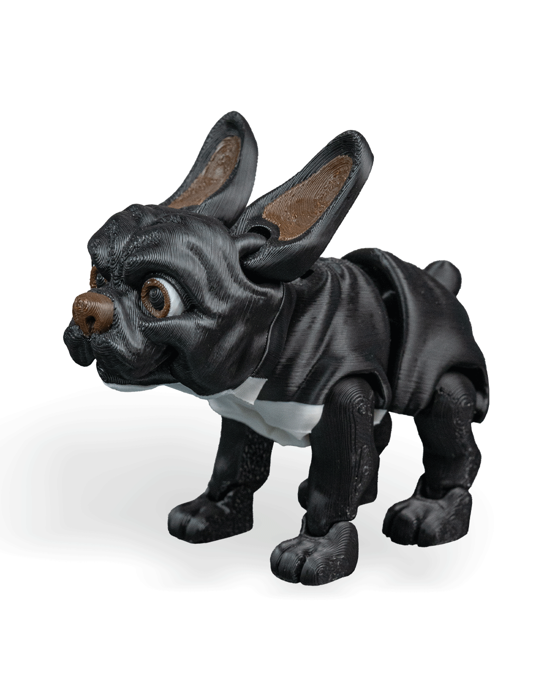 Stella the French Bulldog
