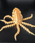 Articulated 3d printed squid